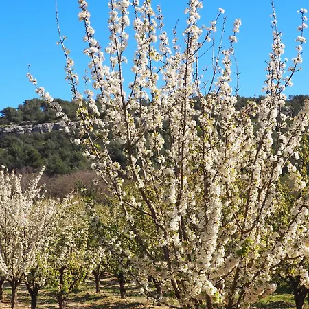 D'hotes Le Relais Des Marmottes En Luberon * Lagnes