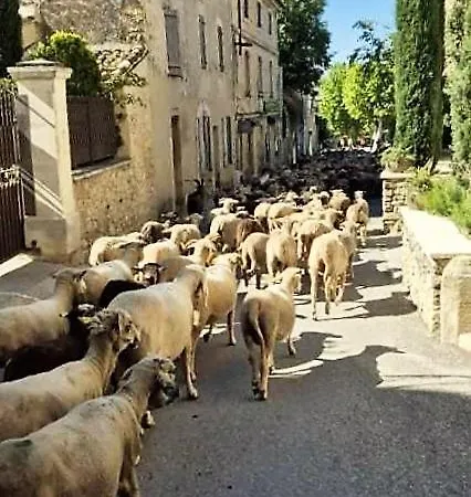 D'hotes Le Relais Des Marmottes En Luberon *
